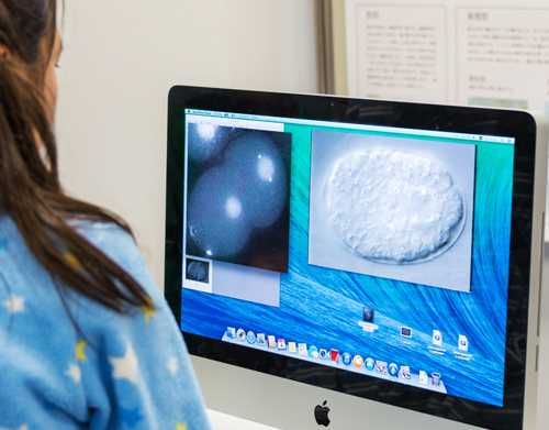 生き物から探る生命の世界