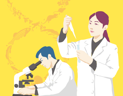 総合研究大学院大学・遺伝学コースの紹介