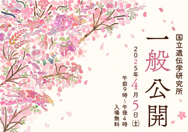 sp用メインビジュアル