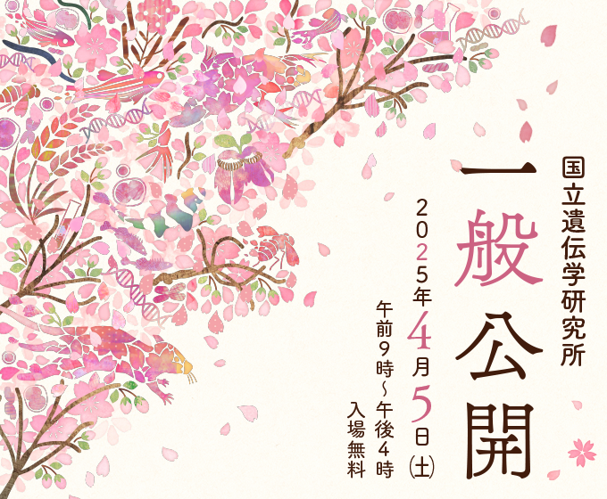 メインビジュアル