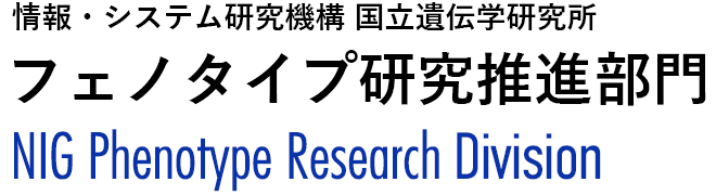 情報・システム研究機構 国立遺伝学研究所 フェノタイプ研究推進部門