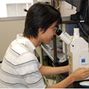 「細胞建築学」新たな世界観を表現したい